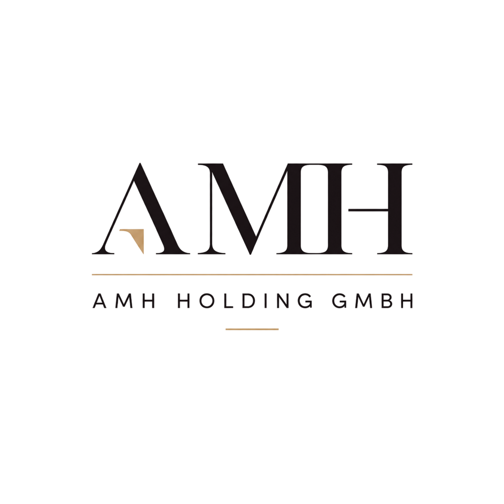 AMH Holding GmbH Logo